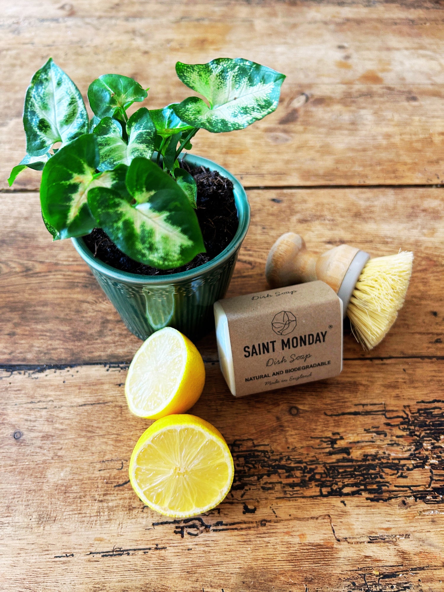 Saint Monday Dish Soap Bar with lemons, a houseplant and a wooden scrubbing brush on a rustic wooden table 